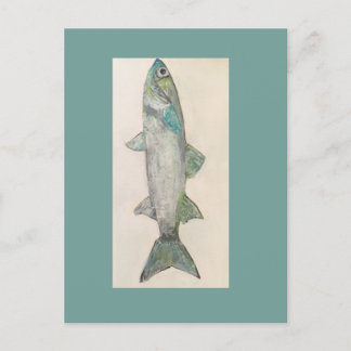 Aqui peixinho peixinho Cartão Postal de Peixe 