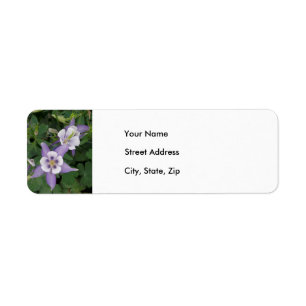 Aquilegia roxo, etiqueta de endereço aquilégia