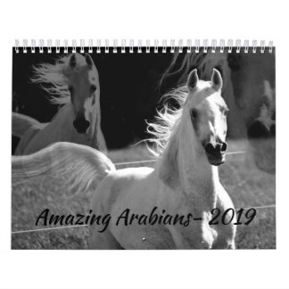 Arabians surpreendentes um calendário 2019