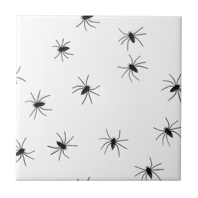 Aracnofobia (Aranhas) (Insetos Crawly Assustadores (Frente)