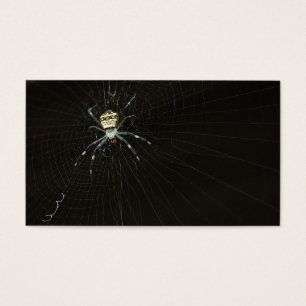 Aranha