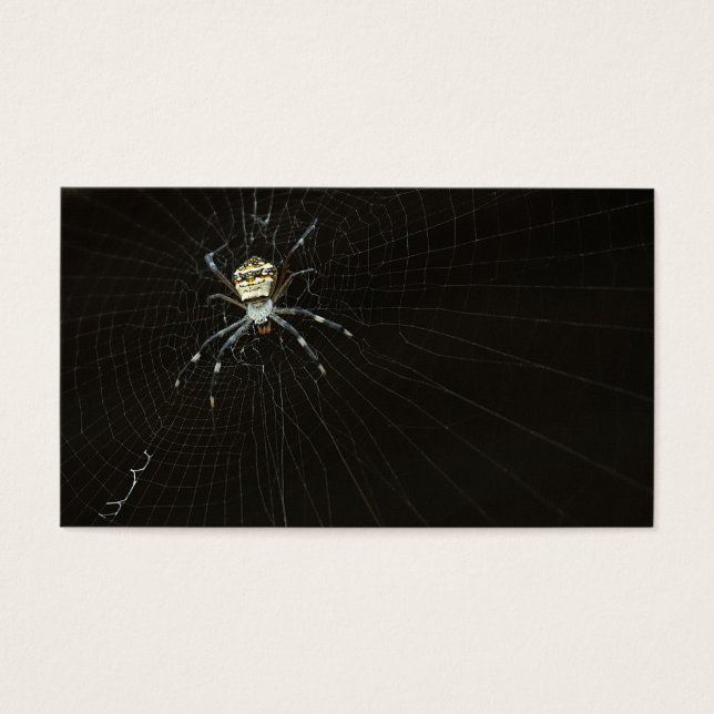 Aranha (Frente)