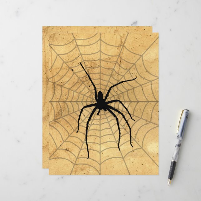 Aranha Assustadora e Papel de Scrapbook de Teia (Frente/Verso In Situ)
