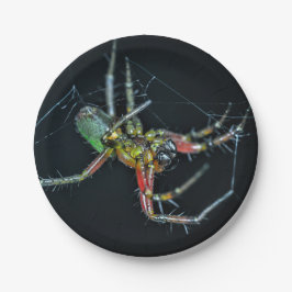 Aranha de Halloween em Prato de Papel