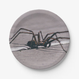 Aranha de Halloween em Prato de Papel