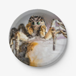 Aranha de Halloween em Prato de Papel