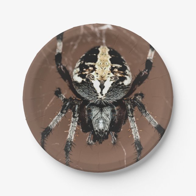 Aranha de Halloween em Prato de Papel (Frente)
