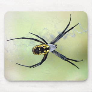 Aranha de jardim preta & amarela Mousepad do