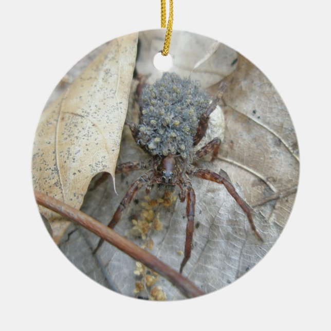 Aranha de lobo com Spiderlings & ornamento da (Frente)