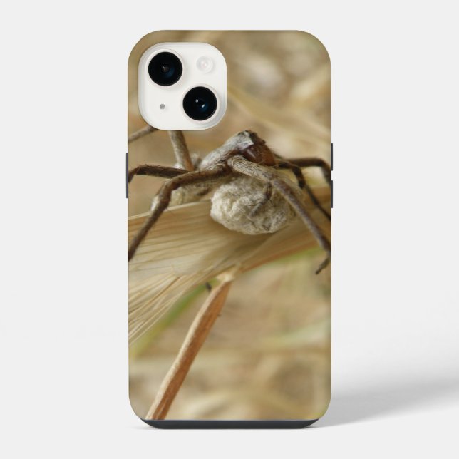 Aranha e Saco de Ovos (Verso)