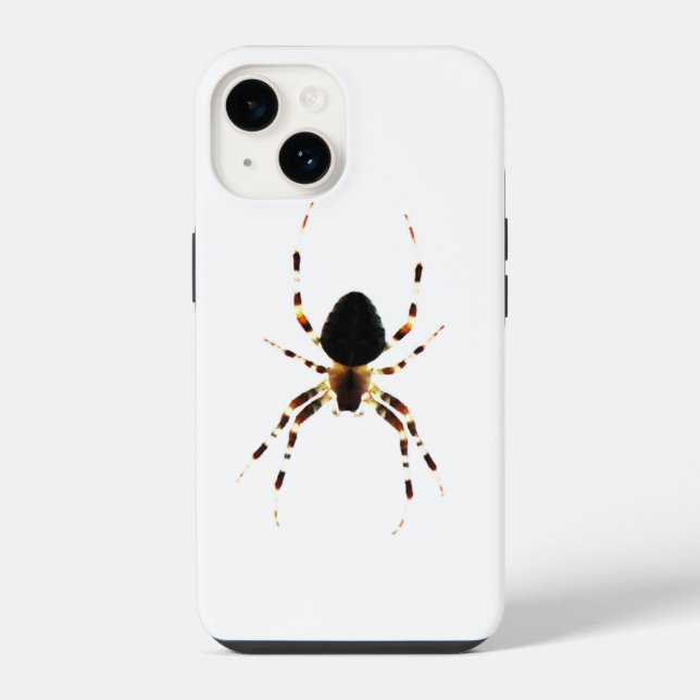 Aranha iphcnm (Verso)