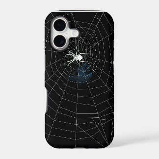 aranha na teia