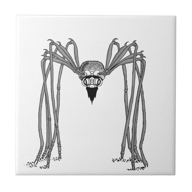 aranha. preto e branco (Frente)