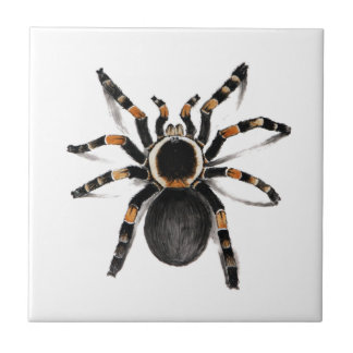 Aranha unida vermelho do Tarantula