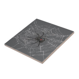 Aranha Viúva Negra e Desenho de Teia de Aranha Art