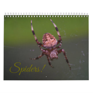 Aranhas! Calendário