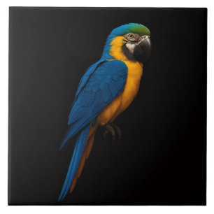 Arara Azul e Amarela em Azulejo Preto 4 Luxe