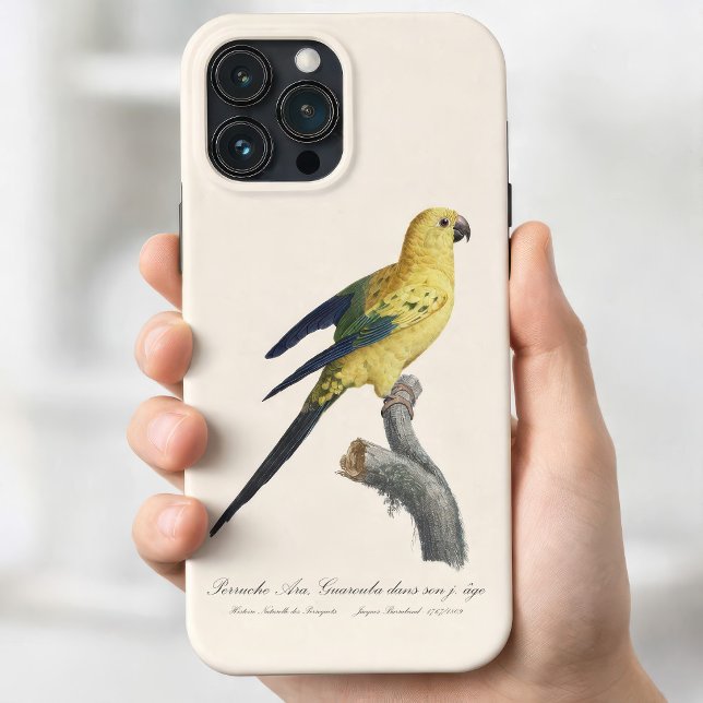 Aratinga-solsticial ou periquito-rei Aratinga sols (Guarouba dans sons jeune age / Sun parakeet. iPhone 13 Pro Max Case)