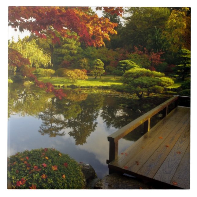 Arboreto, Jardim Japonês, Seattle, Washington, (Frente)