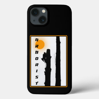 Arborista: trepador da Ascensão solar da silhueta