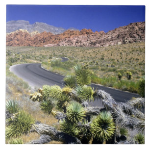 Área de Conservação Nacional Red Rock Canyon, Las