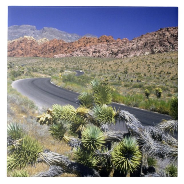 Área de Conservação Nacional Red Rock Canyon, Las (Frente)