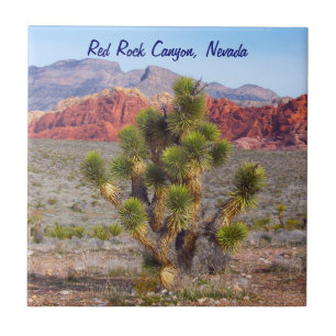 Área vermelha da conservação da garganta da roc