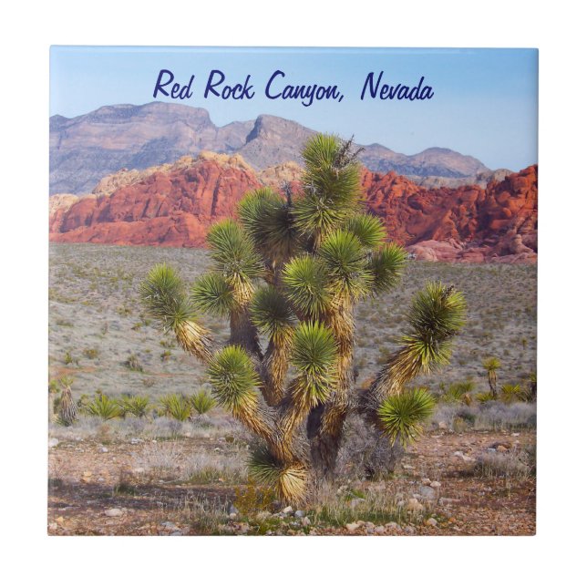 Área vermelha da conservação da garganta da rocha (Frente)