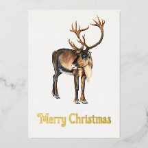 Arena de Natal, Pintada à Mão, Caribenho