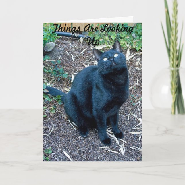 Arg Cartão de Aniversário 3 (Frente)