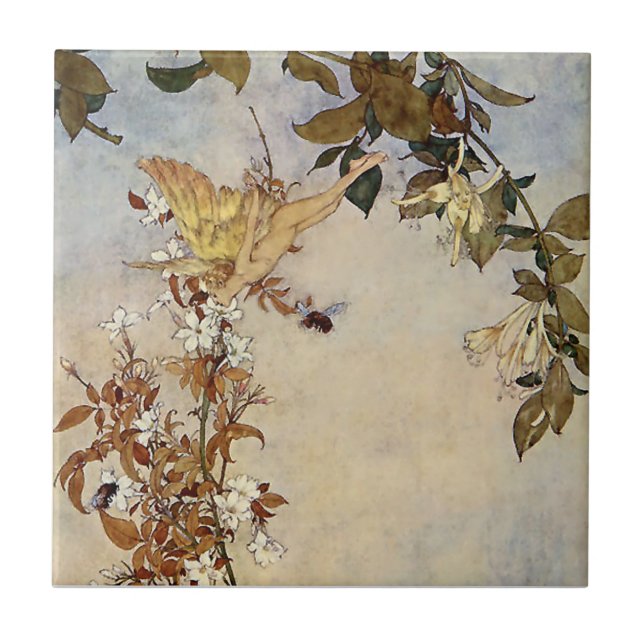 "Ariel and the Bee" por Edmund Dulac (Frente)