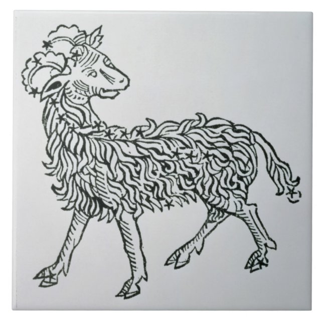 Aries (a ram) uma ilustração 'do Poeticon (Frente)