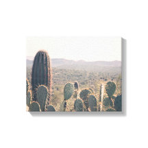 Arizona Cactos | Arte Canvas