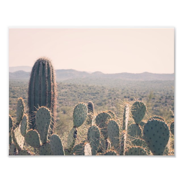 Arizona Cactos | Impressão de fotografia (Frente)