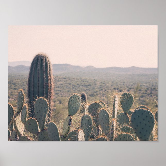 Arizona Cactos | POSTER (Frente)