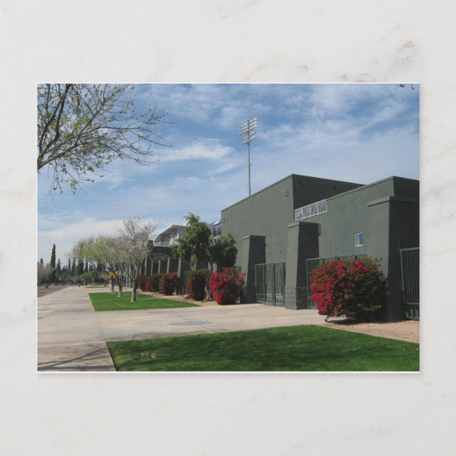 Arizona de cartão postal de estádio Liga Cactus (Frente)