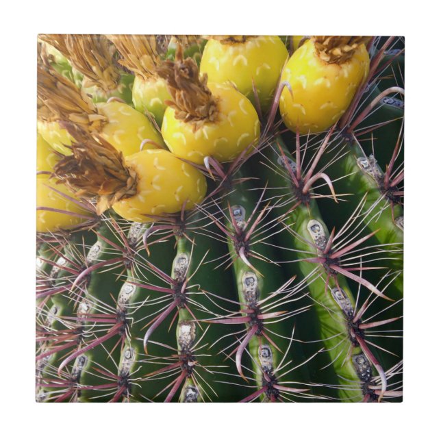 Arizona Desert Cactus Floral Bloom (Frente)