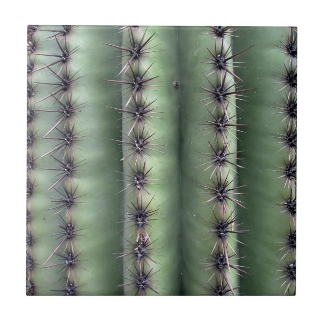 Arizona Desert Saguaro Cactus Green (Frente)