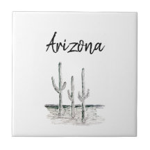 Arizona Negra  do Sudoeste do Deserto do Cactus