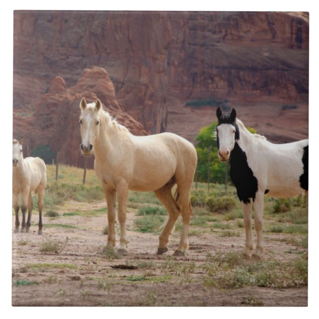 Arizona, Reserva Indiana Navajo, Chinle, (Frente)