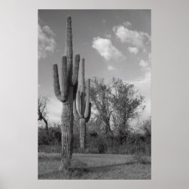 Arizona Saguaro Poster