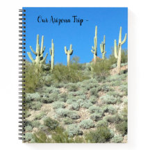 Arizona Saguaros - Viagem