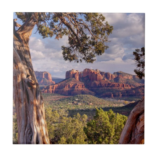 Arizona vermelha da rocha | Sedona (Frente)