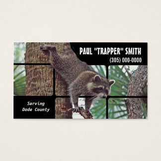 Armadilha de Animais Nuistidos