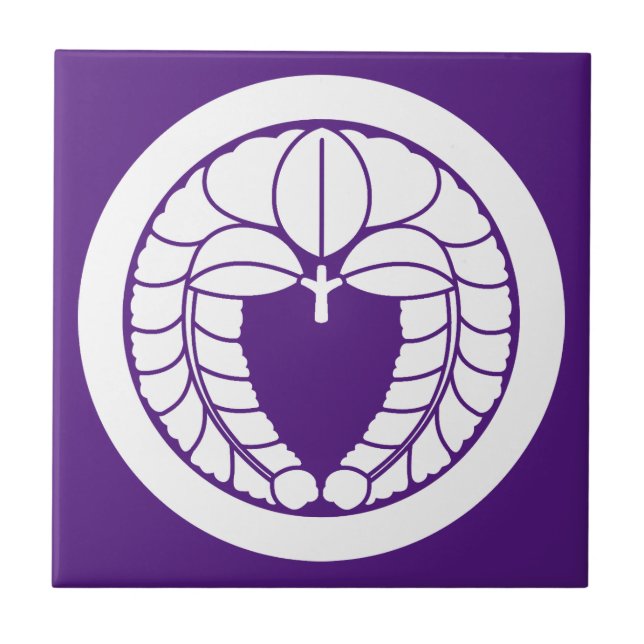 Armadilha em círculo (Frente)