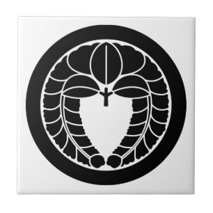 Armadilha em círculo