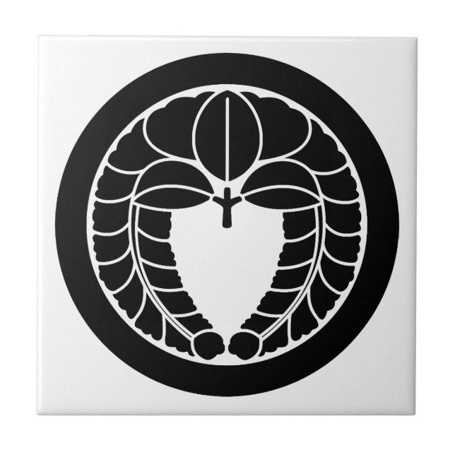 Armadilha em círculo (Frente)