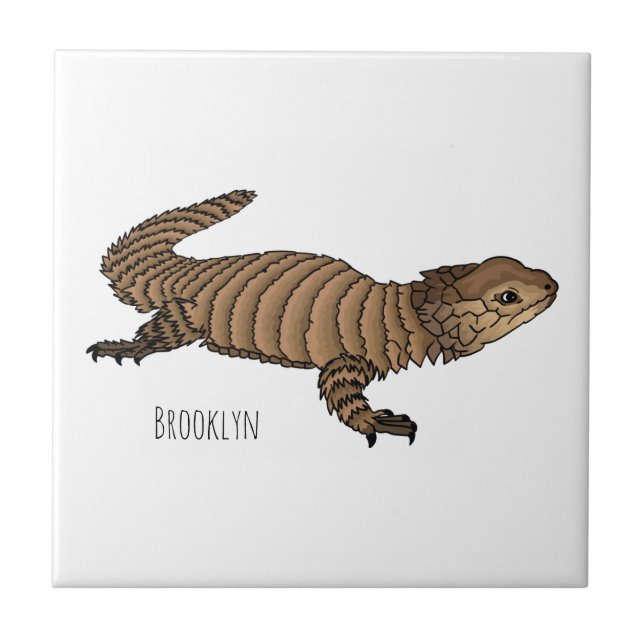 Armadillo girdled lizard cartoon illustration  (Frente)