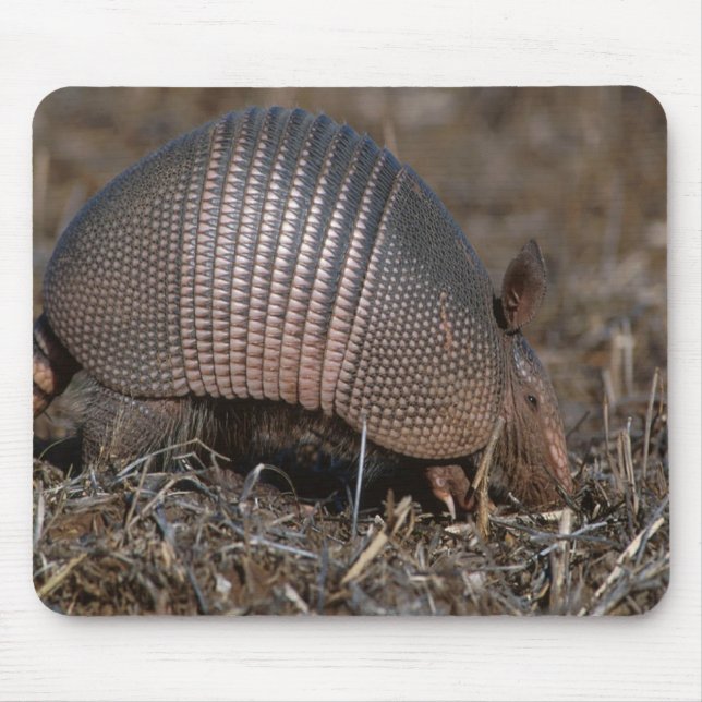 Armadillo Mousepad (Frente)