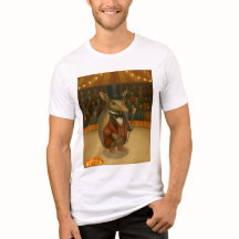 Armand, armadillo ringmaster